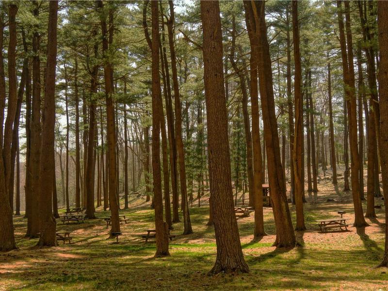 sudoku brain exercise