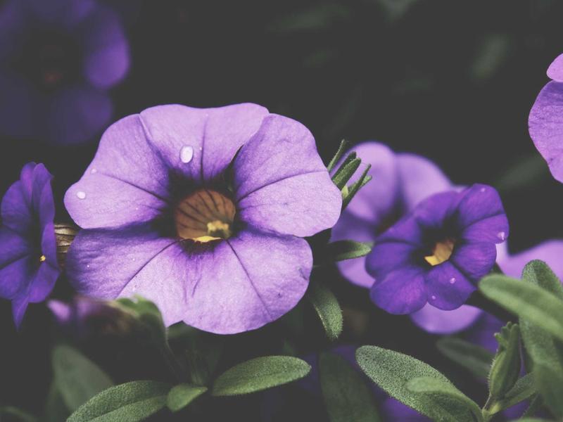 sudoku brain exercise screenshot 6