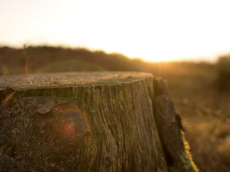 sudoku brain exercise screenshot 3